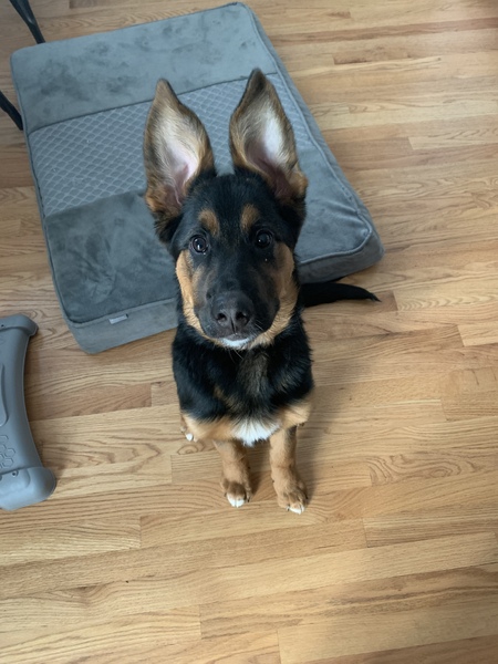 Entry image for Tag. Clicking this image will show a larger photo