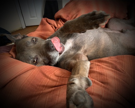 Entry image for ‘Gansett . Clicking this image will show a larger photo