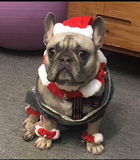 Entry image for Ozzy Ozbone. Clicking this image will show a larger photo