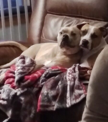 Entry image for Diamond & Thomas. Clicking this image will show a larger photo