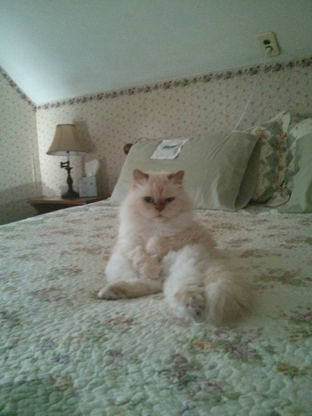 Entry image for Konrad. Clicking this image will show a larger photo