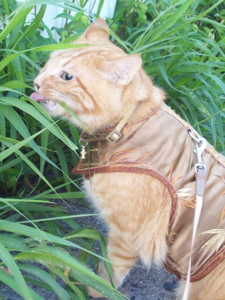 Entry image for Maks. Clicking this image will show a larger photo