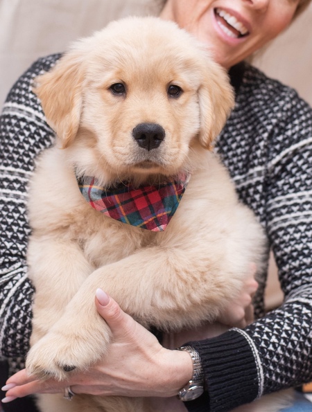 Entry image for Thor. Clicking this image will show a larger photo