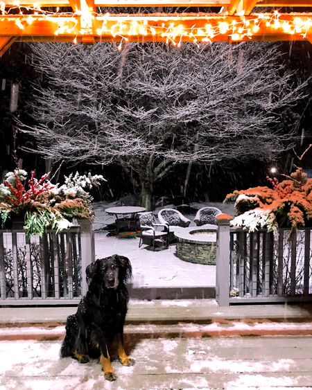 Entry image for Marty . Clicking this image will show a larger photo