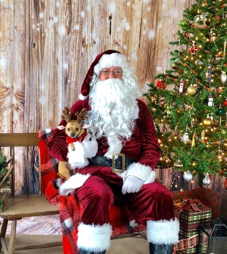 Entry image for Ziggy. Clicking this image will show a larger photo