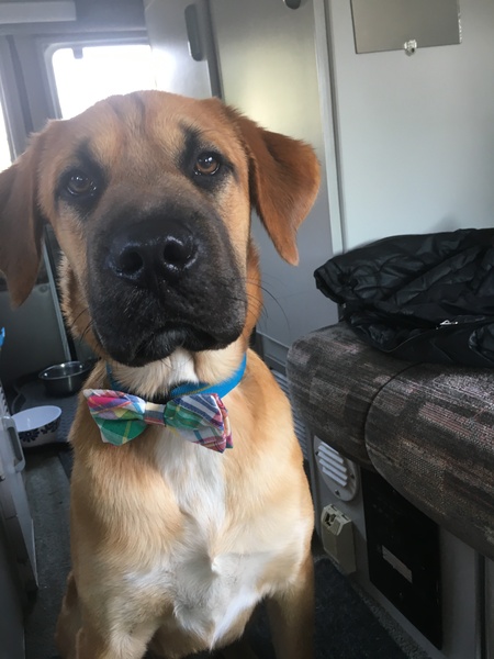 Oscar