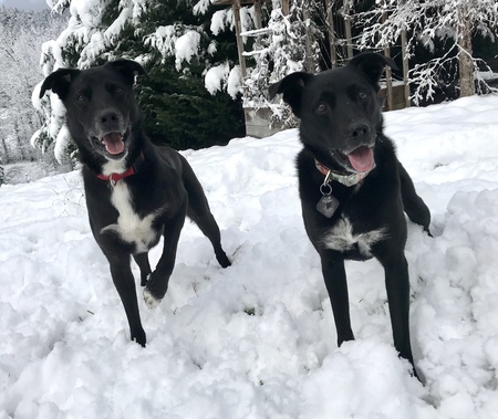 Moxie and K2