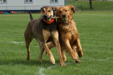 Running Together
