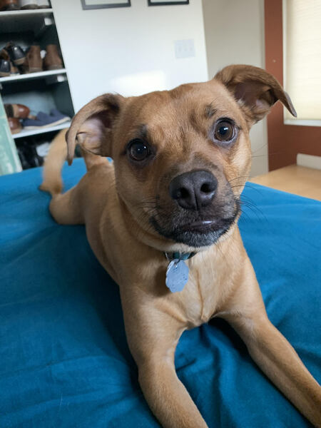 Edison