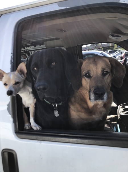 Pearl. Xander,&Roxy