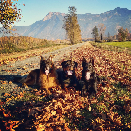 Trevor, Hemi, Stacy