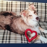 Entry image for Josie
