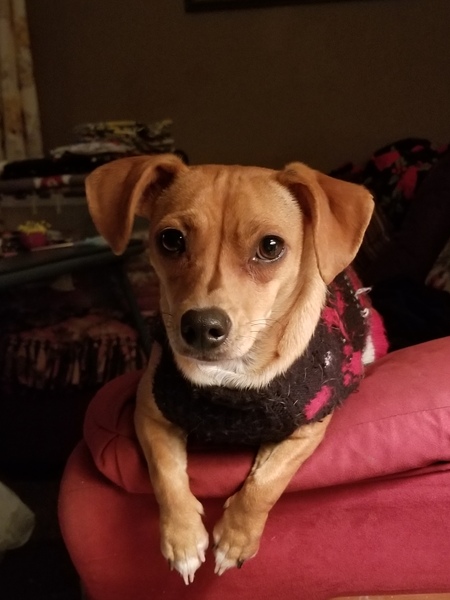 Entry image for Ruby . Clicking this image will show a larger photo