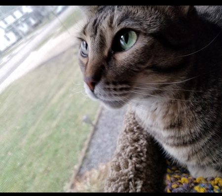 Entry image for Sophie. Clicking this image will show a larger photo