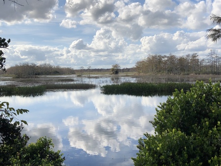 Reflecting Clouds 