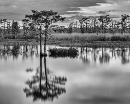 Growing on Water