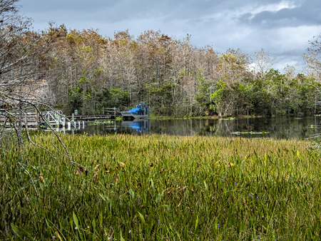 Grassy Waters Landscape