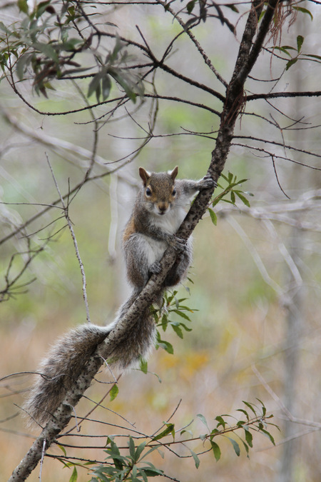 Nature's gardener, taking a short break for photo shoot!