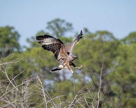 soft landing