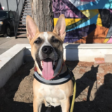 Entry image for Mayzie