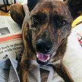 Entry image for Kylo