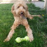 Entry image for Barrett