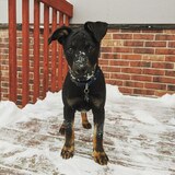 Entry image for Leroy 