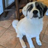 Entry image for Blue