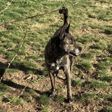 Entry image for Maddie