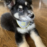 Entry image for James Oswald Taylor