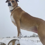 Entry image for Jolene Louise