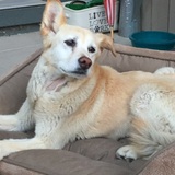 Entry image for Bella 