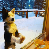 Entry image for Luka