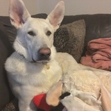 Entry image for Charlie