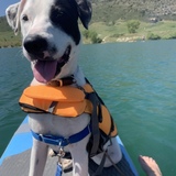 Entry image for Maui