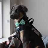 Entry image for Jade❤️