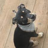 Entry image for Kona