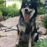 Entry image for Quinn