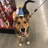 Entry image for Miles