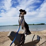 Entry image for Franklin