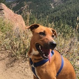 Entry image for Terra 