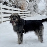 Entry image for Jackie Moon