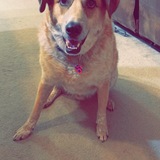 Entry image for Walt 