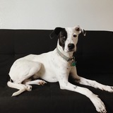 Entry image for Kirby