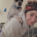 Entry image for Ariel