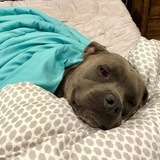 Entry image for Denver 