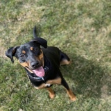 Entry image for Kona