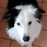 Entry image for Oban