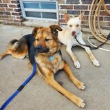 Entry image for Doc & Watson