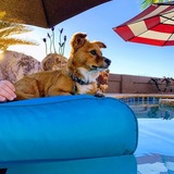 Entry image for Pancake